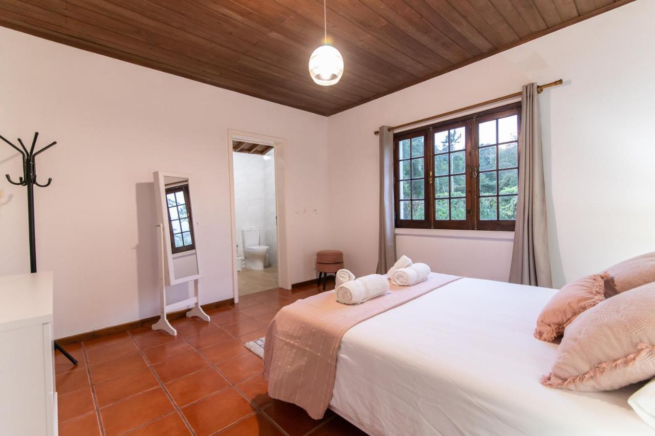 Casa Do Pinheiro With Shared Swimming Pool Villa Sao Vicente Ferreira Exterior photo
