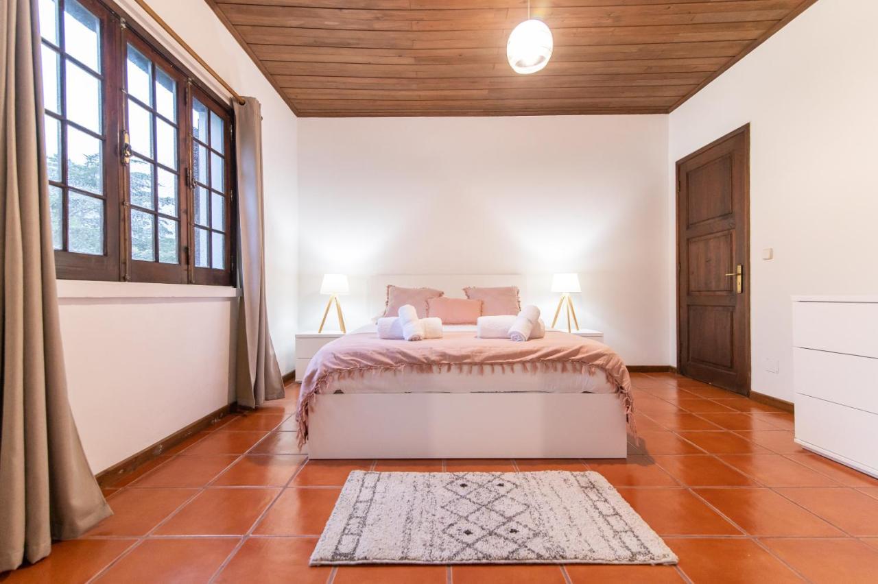 Casa Do Pinheiro With Shared Swimming Pool Villa Sao Vicente Ferreira Exterior photo